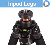 Tripod Legs